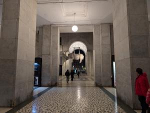 Rhinoceros